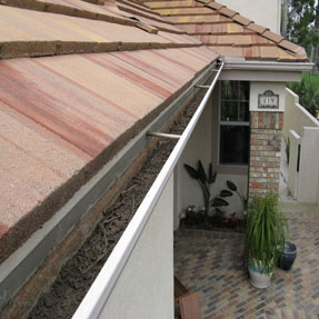 Rain Gutter Cleanng Testimonial