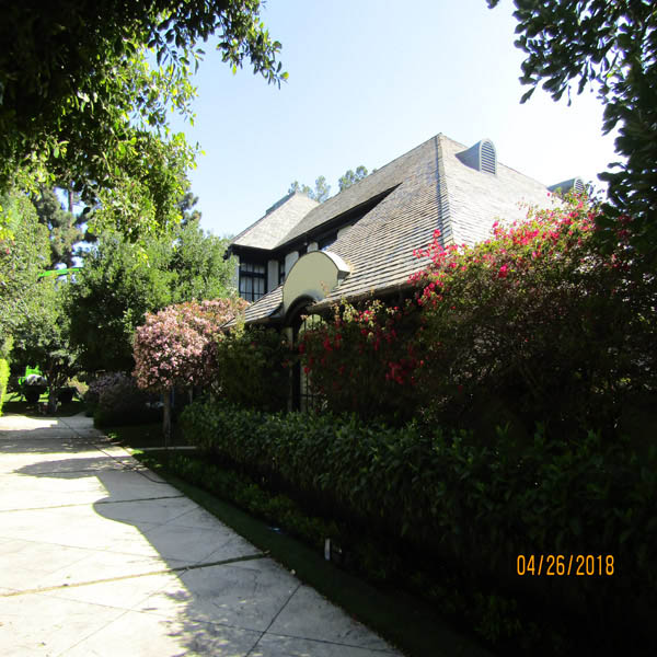 Roof Cleaning